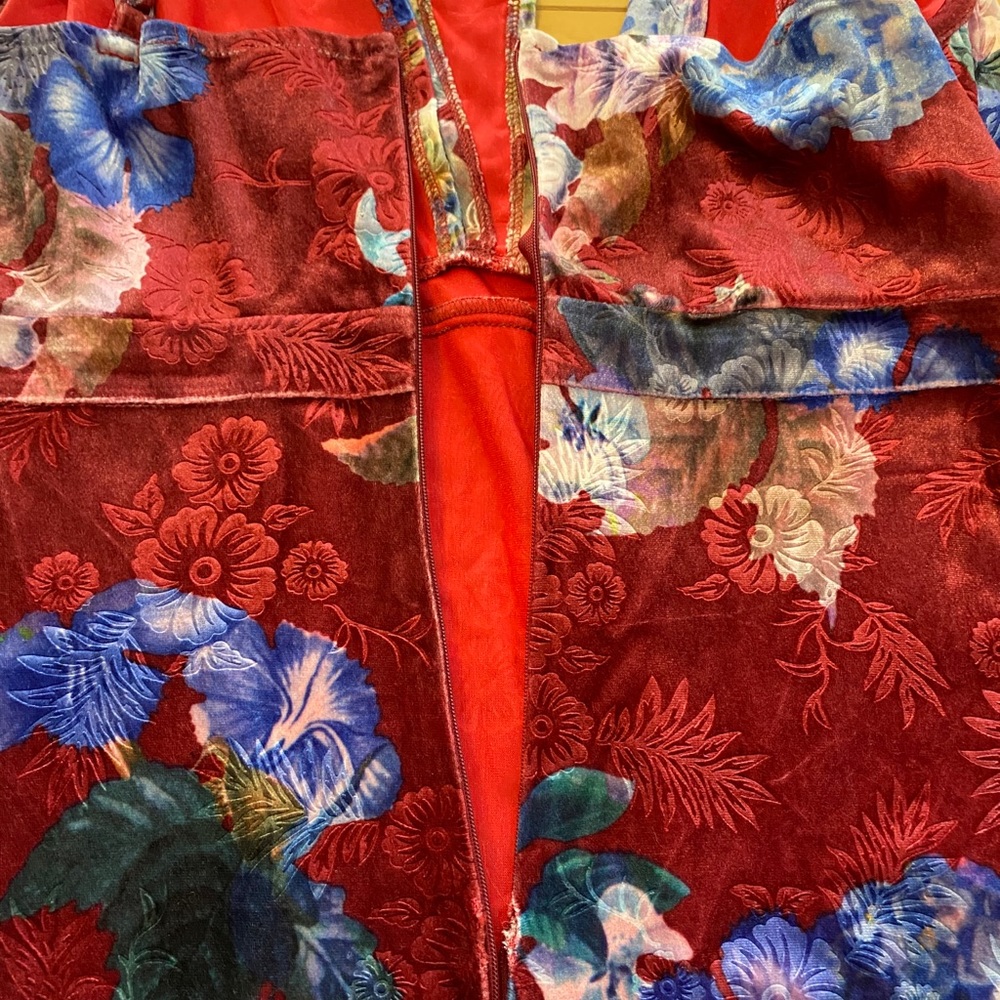 Nightwalker | The Ziggy Velvet Burnout Dress | Size Large - Picture 4 of 4